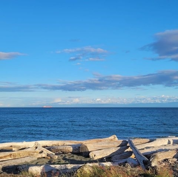 Meet your Posher, Katie - Picture 1 of 1